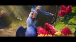 Image Rio 2
