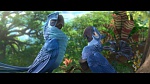Image Rio 2