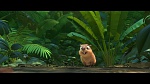 Rio 2 picture