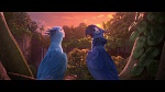Rio 2 picture Rio 2 picture