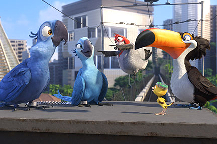 Rio Image 3.png