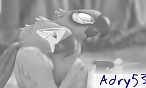 Adry53