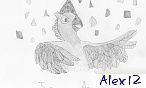 Alex 12