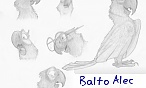 balto Alec