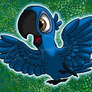 Rio-Baby Blu