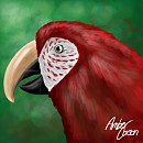 Green Wing Macaw