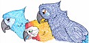 Preening Between Friends