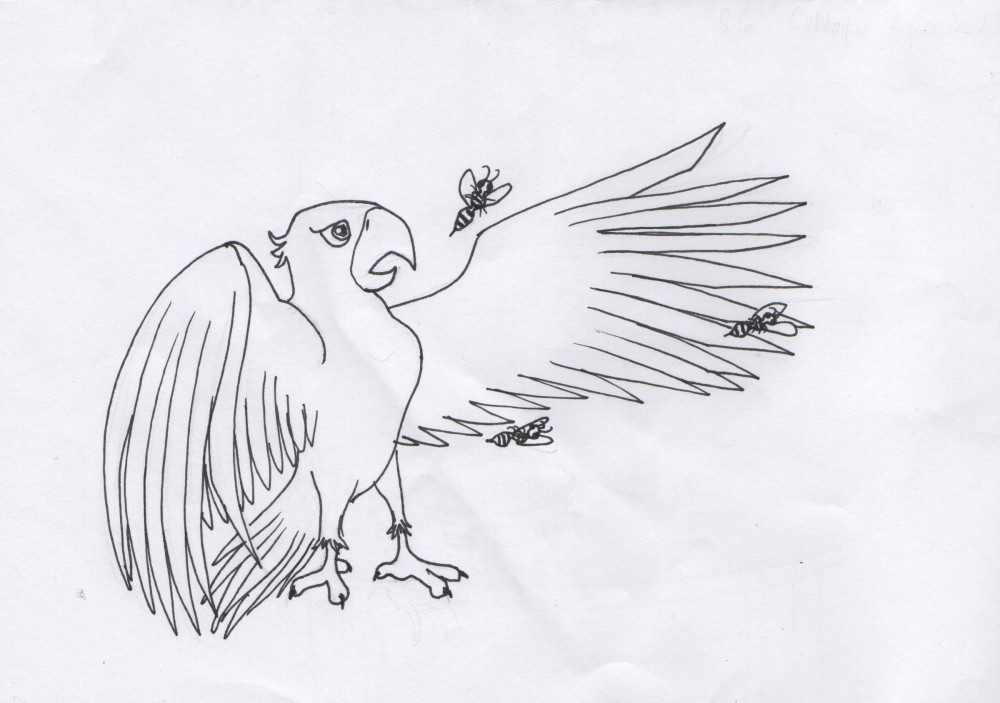 Participation