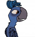 tiago version color�e et digitale 