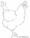 Chicken lineart