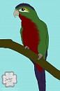 Character Design - For sale