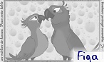 Figa