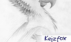 Serg.kz