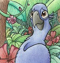 Perdu dans la jungle