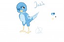 Jackie Redesign