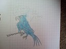 Blu