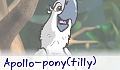 Apollo-pony(tilly)
