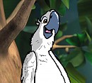 Rio base~male