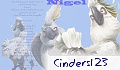 Cinders
