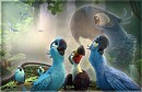 The Beauty Of Amazonia