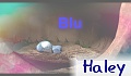Hals