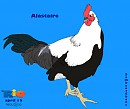 Alastaire