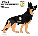 Xena