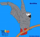 Griffin