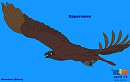 Esperance