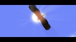 Image Spirit