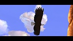 Image Spirit