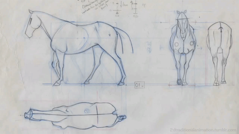 Designs