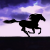 blackhorse.