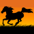 blackhorsebeth