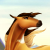 horse_heart36