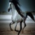 xGallopingLuckx