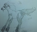 Yin (new mare)