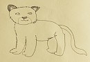 Cub cougar