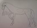 Old Drawings (2)
