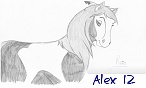 Alex 12