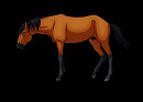 FREE Horse Lineart PSD: Stallion and Mare