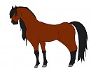 The outlaw horse- Gift for MW Roach