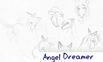 Angel Dreamer