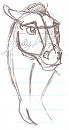 Spirit Head Practice 3 -08-15-11-