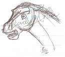 Spirit Head Practice 4 -08-15-11-