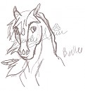 Bueller Headshot