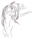 Creme Headshot