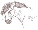 Diego Headshot