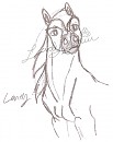 Laney Headshot