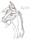 Paiton Headshot